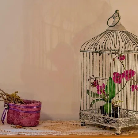 Daire Emi *